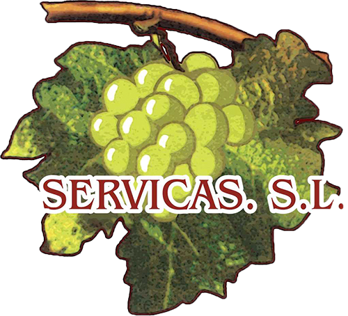 empresa de servicios para bodegas en Valladolid