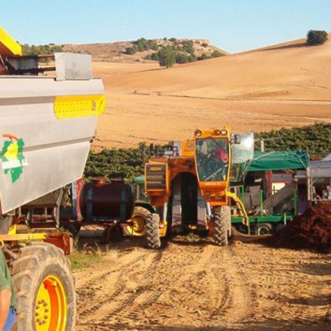empresa de viticultura en Valladolid