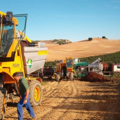 servicios viticultores en Valladolid 010