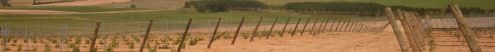 empresa de servicios para bodegas en Valladolid