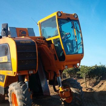 servicios viticultores en Valladolid 011