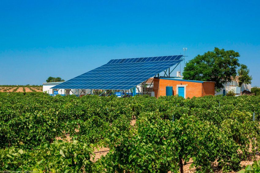 Servicio de plantación de cultivo en Valladolid
