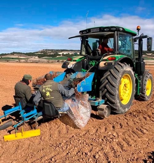 Servicio para bodegas y pequeños productores