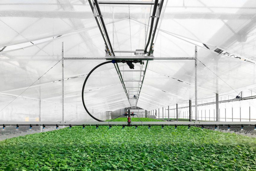 Riego de cultivo en Valladolid Riego de cultivo en Valladolid