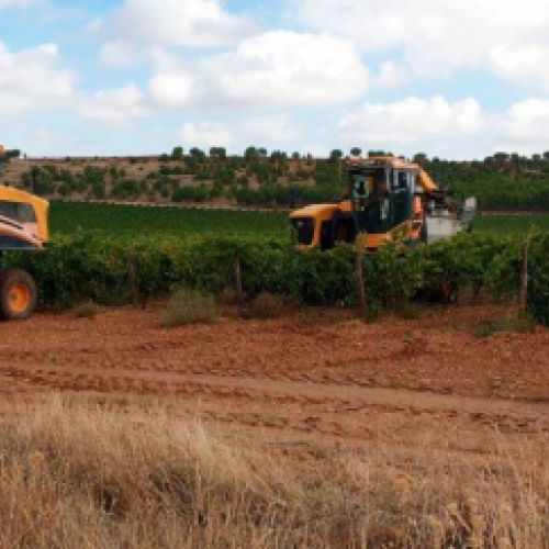 Imagen de tractor y desbrozadora en plantación de viñedos