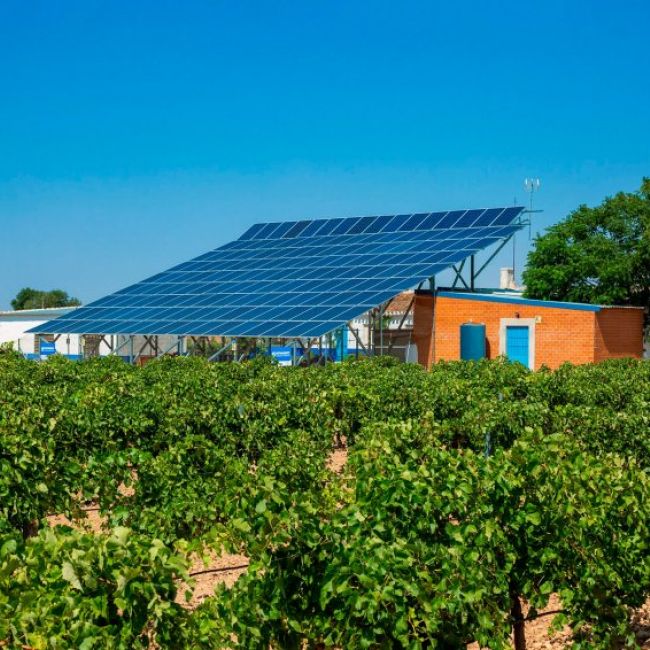 Servicio de plantación de cultivo en Valladolid