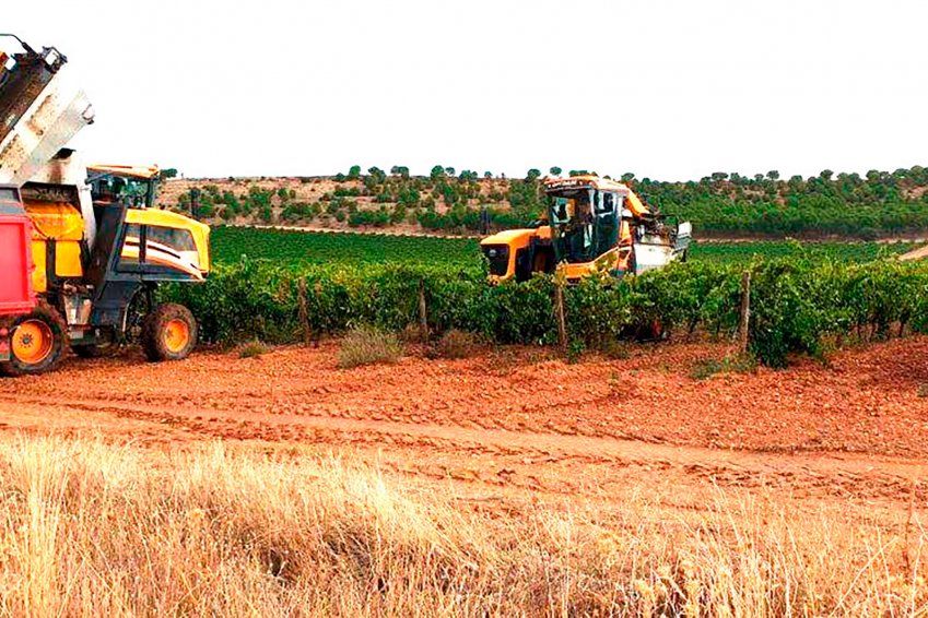 Vendimia para viticultores en Valladolid